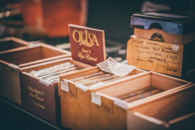 Hochschulball 2023 448